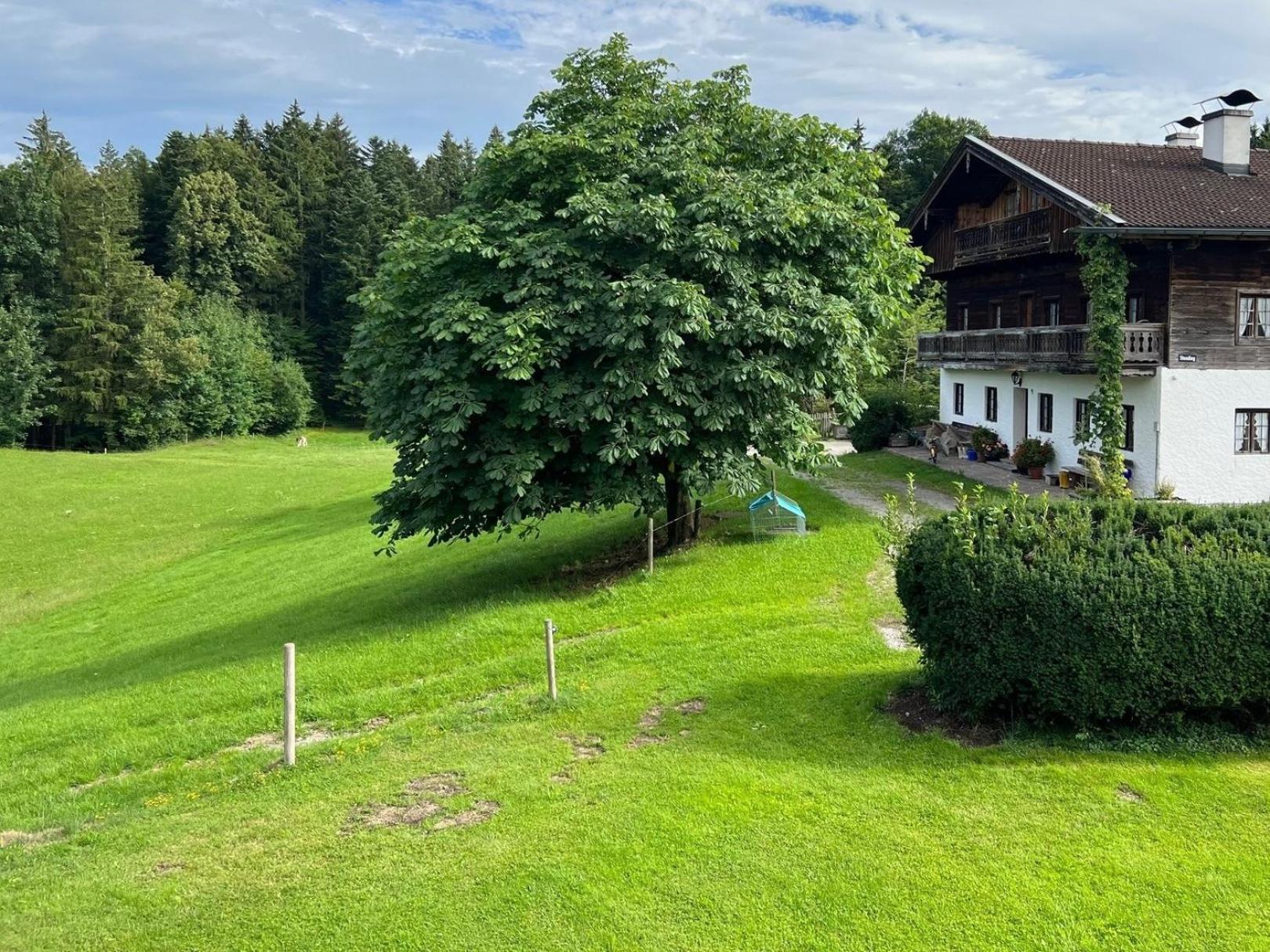 Fewo Staudinger Irschenberg Exteriér fotografie