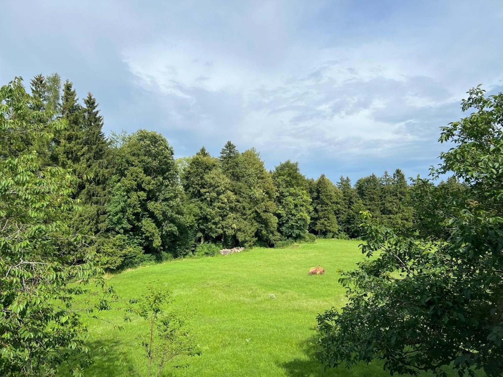 Fewo Staudinger Irschenberg Exteriér fotografie